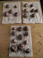 Gladiolen bollen rood, wit en paars, Tuin en Terras, Ophalen, Voorjaar, Volle zon, Knol