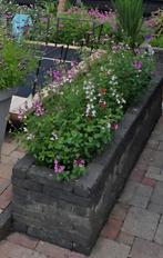 Antraciet stenen voor plantenbak, Tuin en Terras, Tegels en Klinkers, Ophalen, Beton, Klinkers