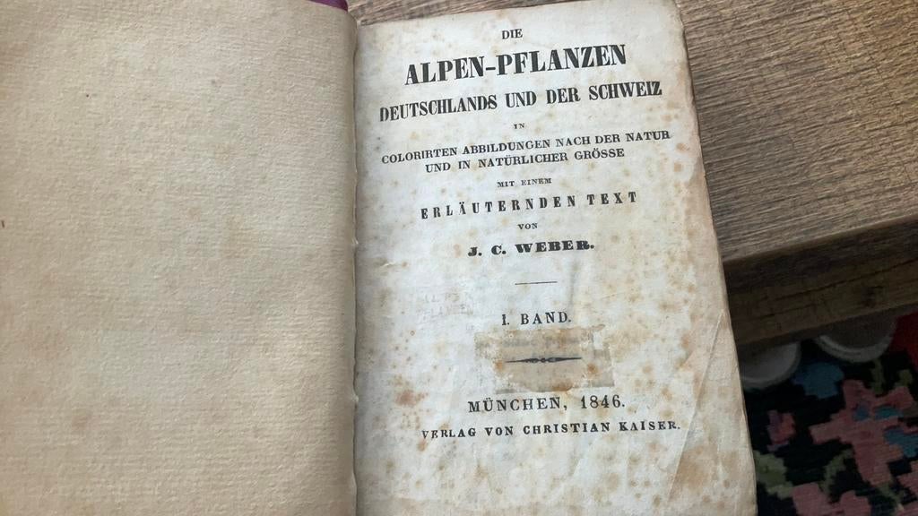 Planten boek, Antiek en Kunst, Antiek | Boeken en Bijbels, Ophalen of Verzenden