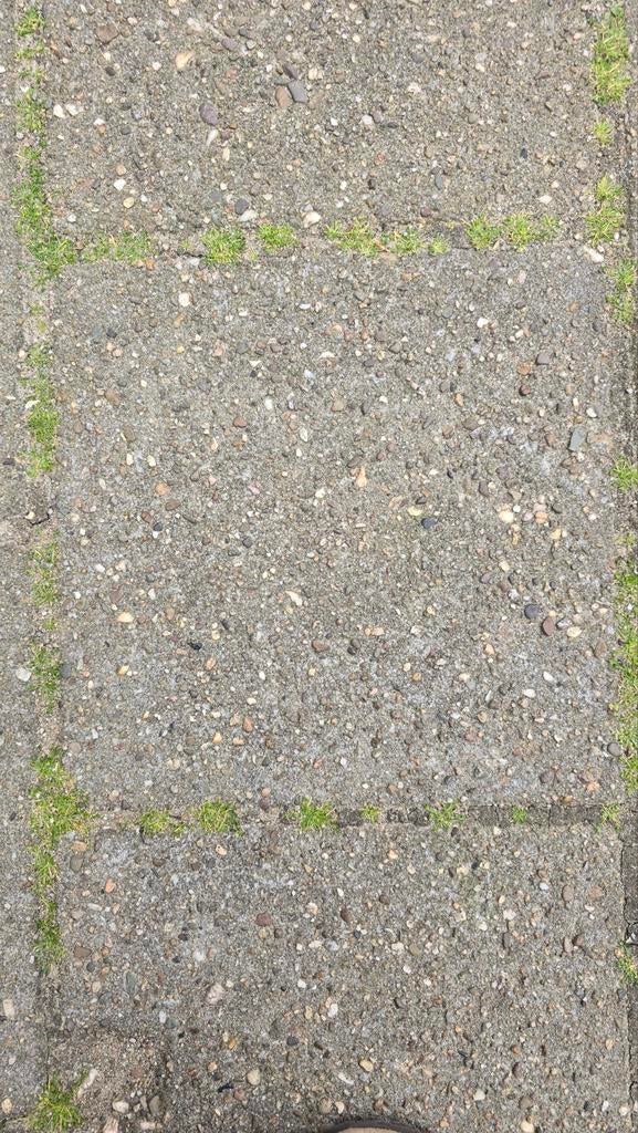 GRATIS - Stoeptegels, Tuin en Terras, Tegels en Klinkers, Ophalen, Gebruikt, Beton, Overige typen