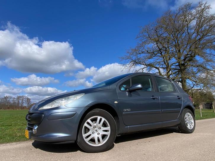 Peugeot 307 1.6 16V 5DR 2006 Grijs, Auto's, Peugeot, Bedrijf, Airbags, Climate control, Cruise Control, Elektrische ramen, Lichtmetalen velgen
