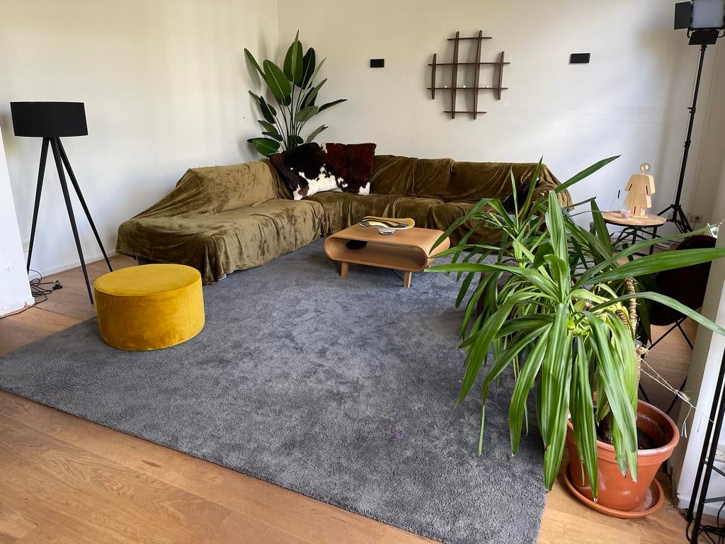 Grijs vloerkleed 3 bij 4 meter, Ophalen, Zo goed als nieuw, 200 cm of meer, Grijs