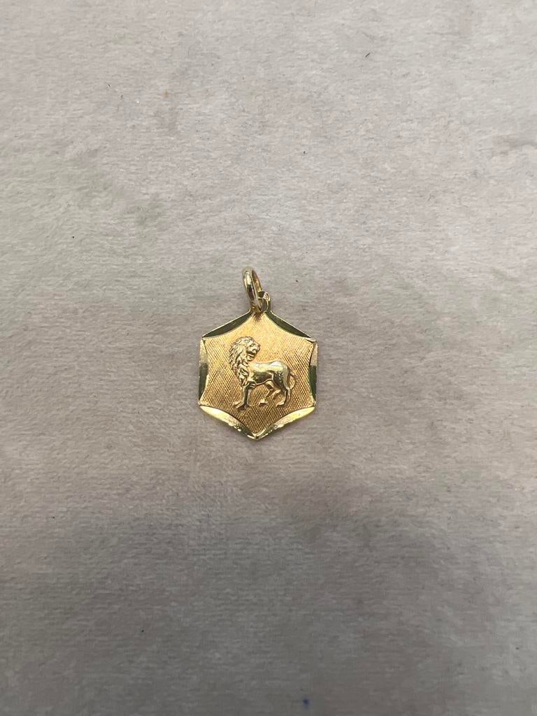 14k gouden leeuwenhanger, Sieraden, Tassen en Uiterlijk, Ophalen of Verzenden