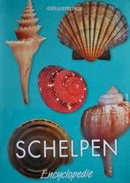 De Bruyne: Geïllustreerde Schelpen Encyclopedie, Ophalen of Verzenden, Zo goed als nieuw, Natuur algemeen