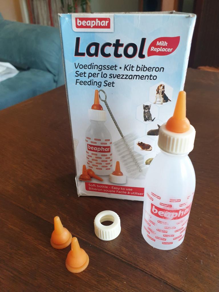 Gratis Ophalen voor Kittens of  Kleine Huisdieren, Ophalen, Nieuw