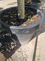 4 zwarte grote plastic bloempotten, Ophalen, Rond, Kunststof, Minder dan 30 cm