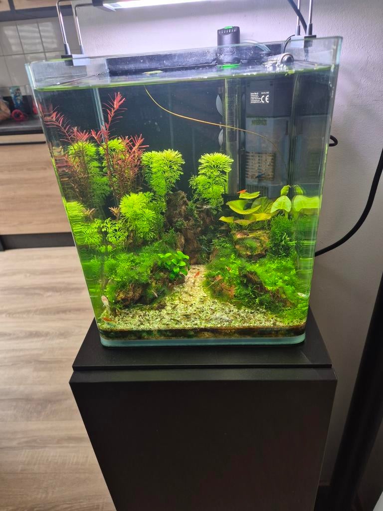Nano cube aquarium, Ophalen of Verzenden, Zo goed als nieuw, Leeg aquarium