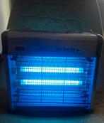 Muggenlamp, Overige soorten