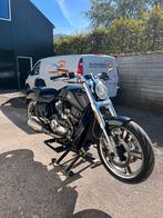 V-rod muscle harley davidson, Motoren, Motoren | Harley-Davidson, 2 cilinders, Particulier, Meer dan 35 kW, 1250 cc