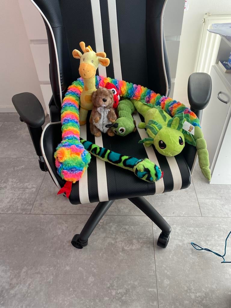 Dierentuin set., Ophalen, Zo goed als nieuw, Overige typen