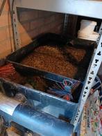 Vijverfilter + pomp, Ophalen, Gebruikt, Vijverfilter