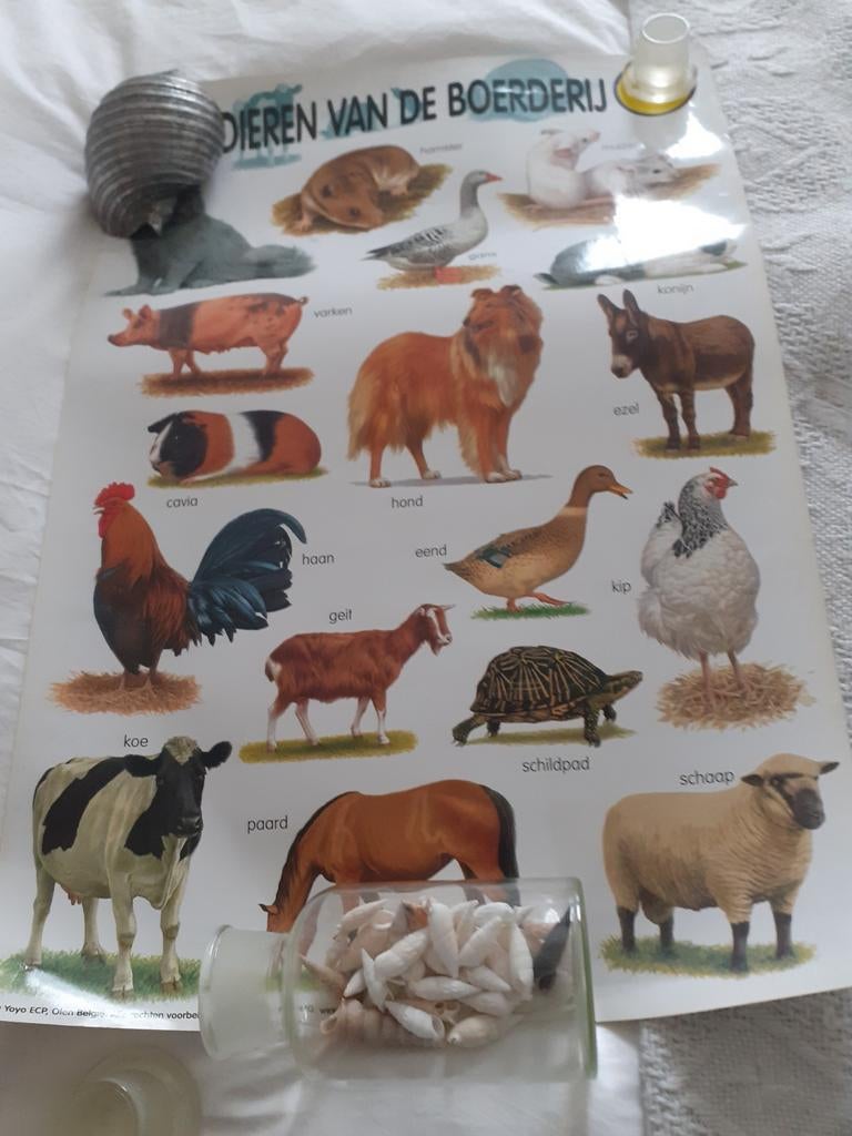 Oude schoolplaten, Antiek en Kunst, Antiek | Schoolplaten, Ophalen