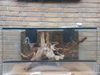 Terrarium 80x40x40, Dieren en Toebehoren, Ophalen
