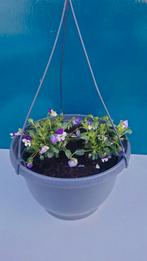 hangpot basket hanging hangmand, Ophalen, Rond, Aardewerk, Minder dan 40 cm