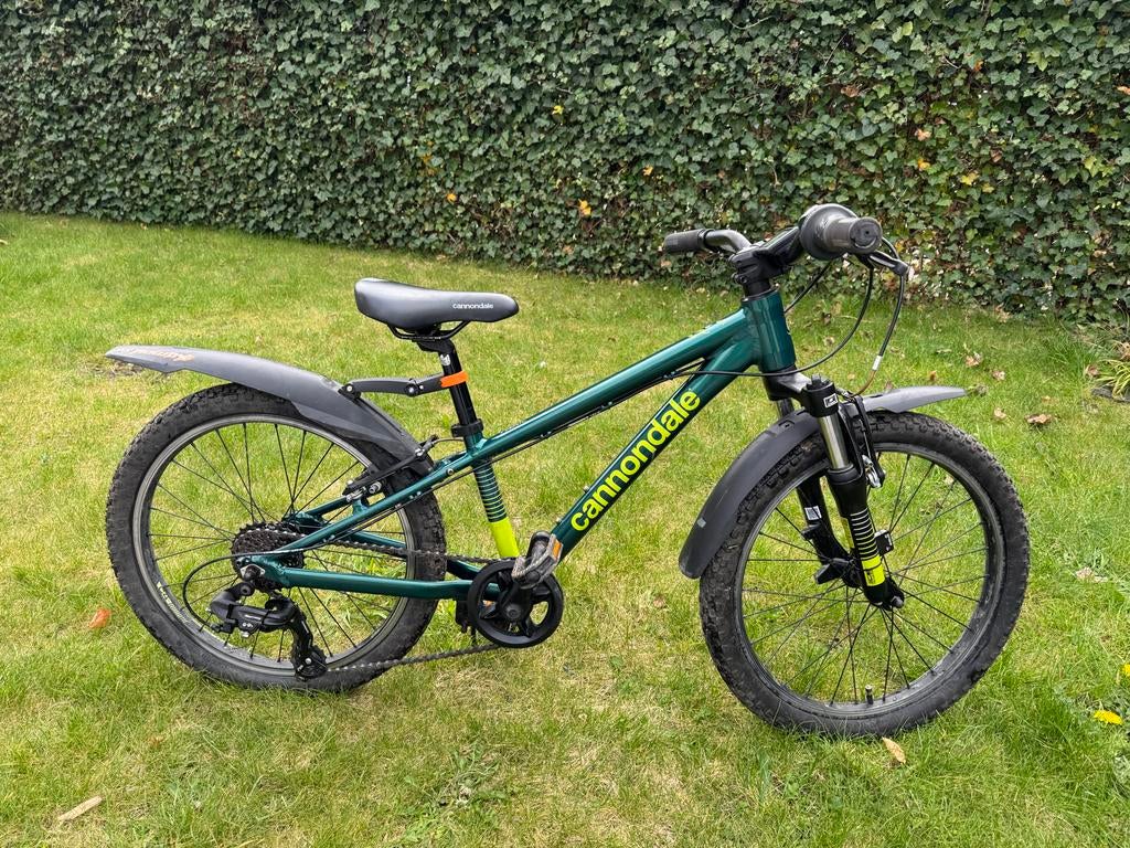 Cannondale Kids Trail Fiets - Volt, 20 inch, Ophalen, Gebruikt, 20 inch of meer
