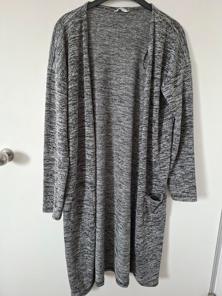 Lang dun vest HEMA XL gemêleerd, Maat 46/48 (XL) of groter, Ophalen of Verzenden, Zo goed als nieuw, HEMA