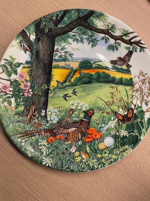Wedgwood bord  nieuw, Ophalen of Verzenden