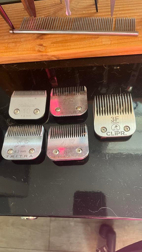 Scheerkoppen hond, Ophalen of Verzenden