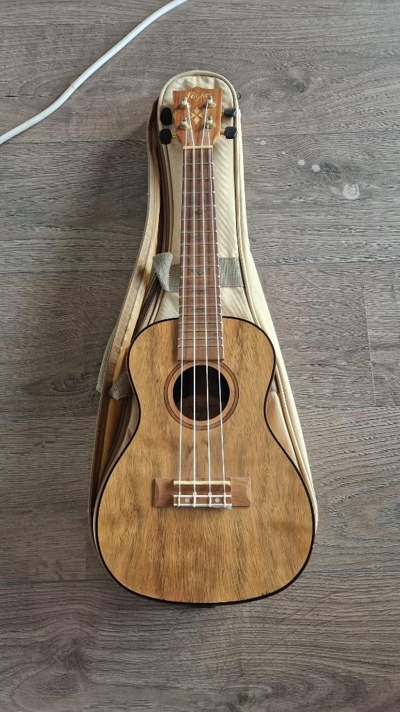 Flight Guitar DUC430 DAO, Muziek en Instrumenten, Snaarinstrumenten | Gitaren | Akoestisch, Ophalen of Verzenden, Zo goed als nieuw