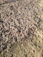 Grond, Ophalen of Verzenden, Tuinaarde