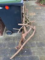 Gratis haardhout afhalen, Minder dan 3 m³, Ophalen, Overige houtsoorten, Stammen