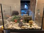 Aquarium, Ophalen of Verzenden, Zo goed als nieuw, Leeg aquarium