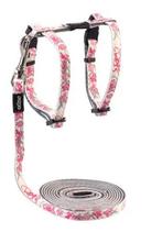 Katte tuigje voor kitten XS, Dieren en Toebehoren, Ophalen of Verzenden, Nieuw