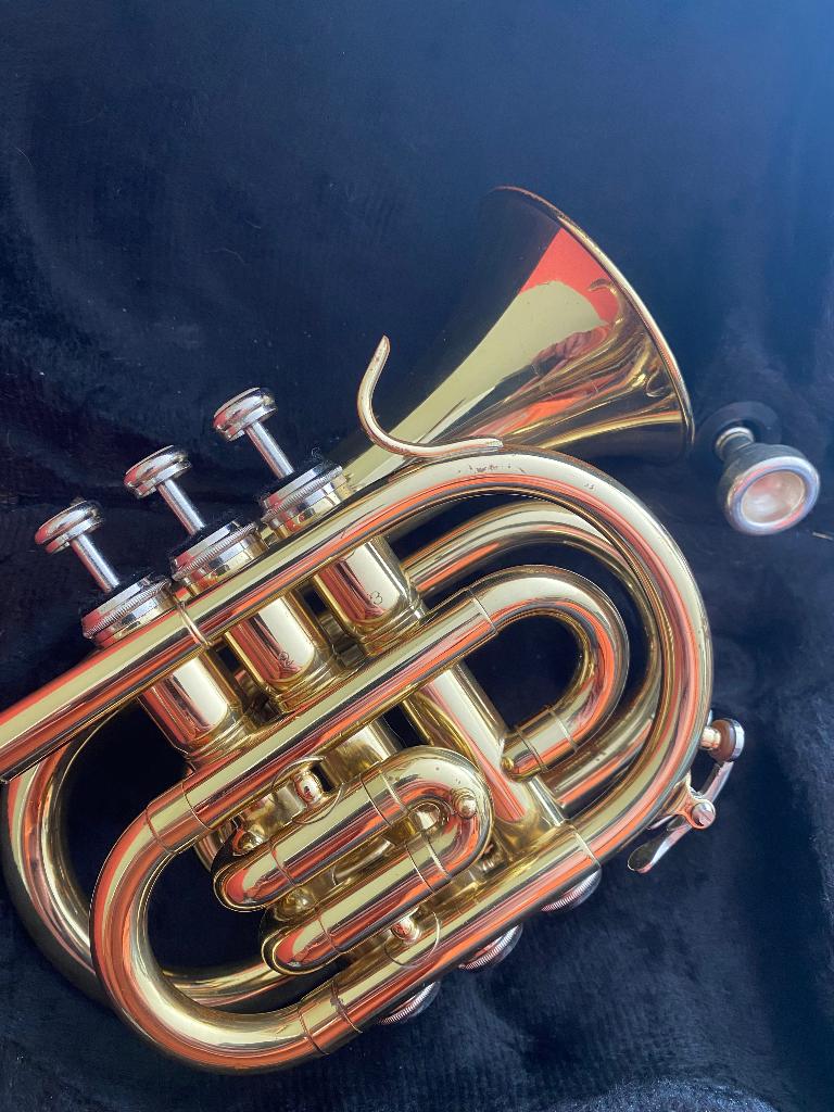 Main pocket trompet in zip case met Muirhead demper, Ophalen of Verzenden, Gebruikt, Bes-trompet, Met koffer