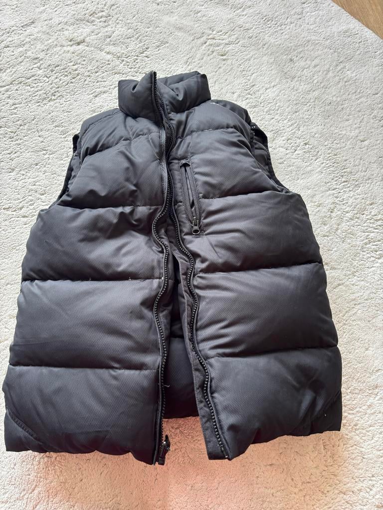Zwarte bodywarmer maat S, Ophalen of Verzenden, Gedragen, Maat 46 (S) of kleiner, Zwart