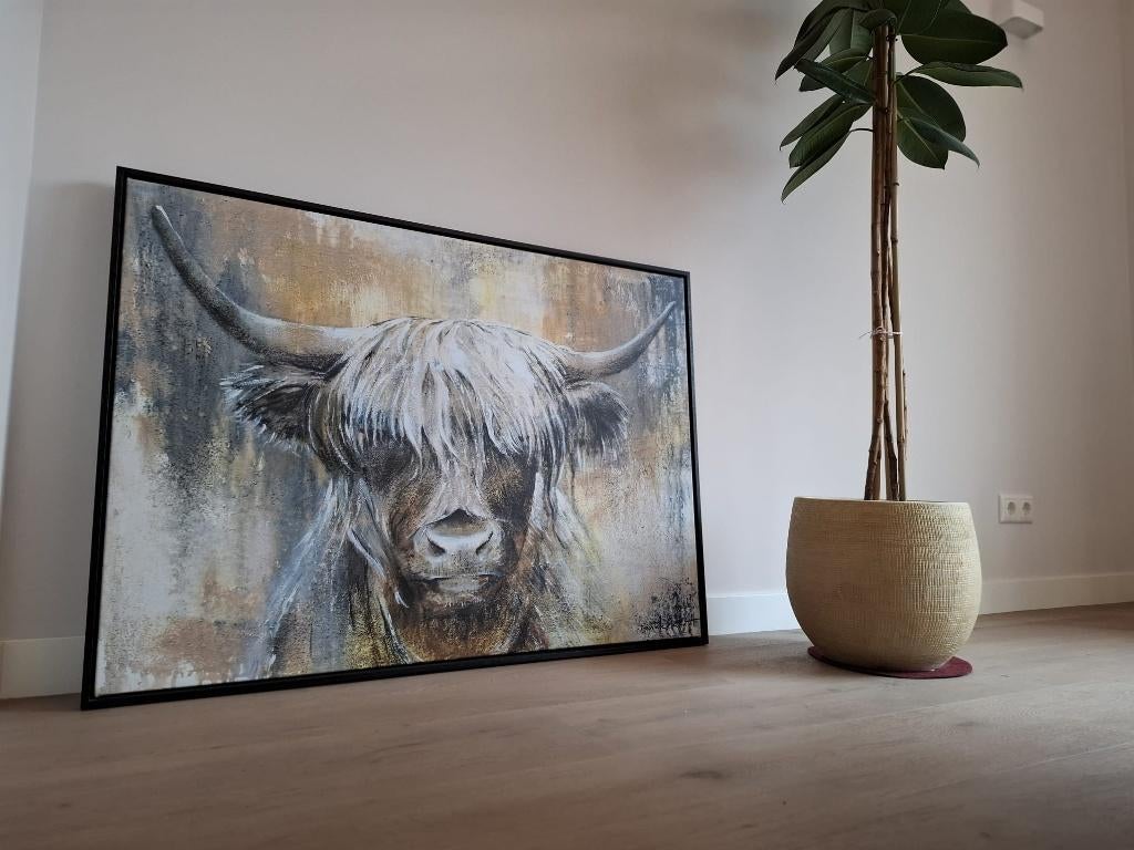 Schotse Hooglander Canvas ingelijst, Ophalen, Gebruikt, Schilderij, 100 tot 125 cm