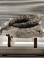 2 koeienhoorns (decoratie), Ophalen of Verzenden