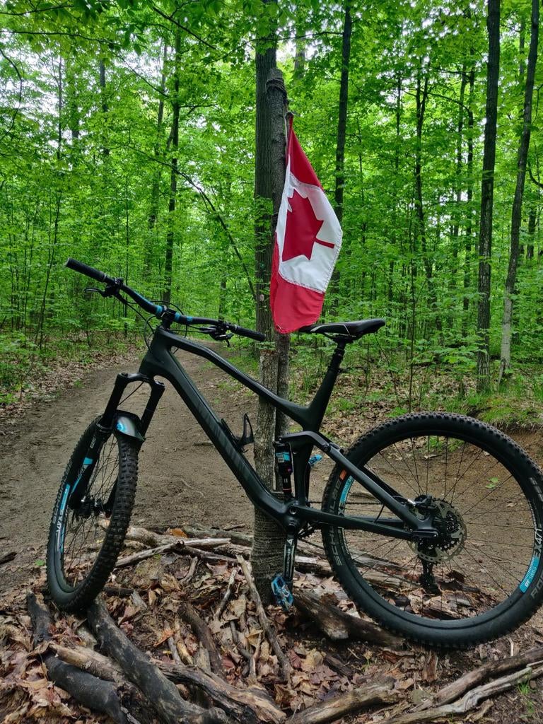 Canyon Spectral CF8 EX - Large Full Suspension Mountainbike, Fietsen en Brommers, Fietsen | Mountainbikes en ATB, Gebruikt, 53 tot 57 cm