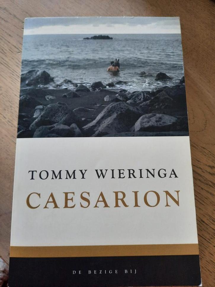 Tommy Wieringa - Caesarion, Boeken, Literatuur, Gelezen, Ophalen of Verzenden