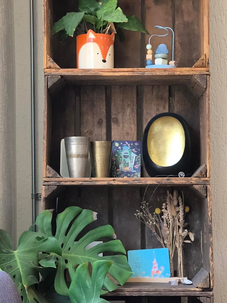 Houten fruitkistjes (7) super veelzijdig, Ophalen