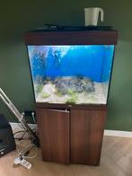 Juwel aquarium, Ophalen, Gebruikt, Leeg aquarium