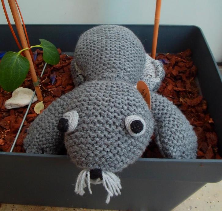 Grijze grote zeehond 54 bij 44 cm 50% korting Op = op!, Kinderen en Baby's, Speelgoed | Knuffels en Pluche, Nieuw, Overige typen