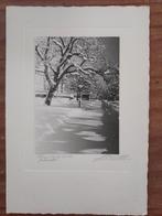 Vintage Foto - Winterlandschap / Berglandschap, Antiek en Kunst, Ophalen of Verzenden