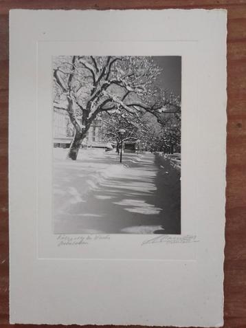 Vintage Foto - Winterlandschap / Berglandschap beschikbaar voor biedingen