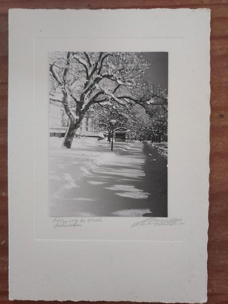 Vintage Foto - Winterlandschap / Berglandschap, Antiek en Kunst, Kunst | Tekeningen en Foto's, Ophalen of Verzenden