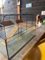 Hamster kooi + accessoires, Dieren en Toebehoren, Minder dan 60 cm, Kooi, Minder dan 75 cm, Ophalen of Verzenden