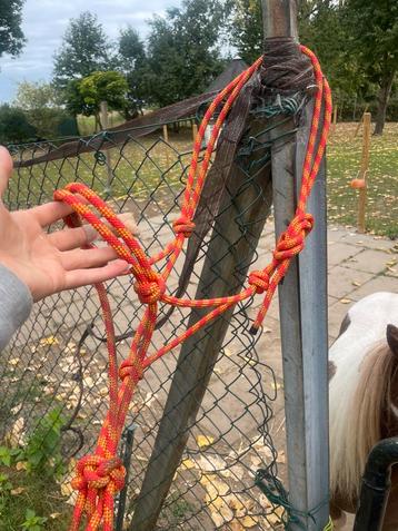 spaans touwhalster beschikbaar voor biedingen