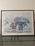 Schilderij Hortensia's van Floor Koomen, Ophalen of Verzenden