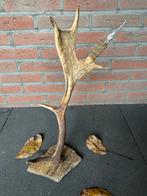 Geweilamp.schemerlamp.geweien.edelhert.damhert.tafellamp., Ophalen of Verzenden, Zo goed als nieuw, Minder dan 50 cm
