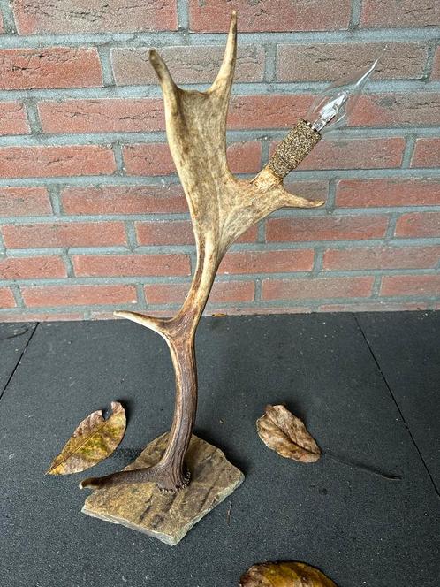 Geweilamp.schemerlamp.geweien.edelhert.damhert.tafellamp., Huis en Inrichting, Lampen | Tafellampen, Zo goed als nieuw, Minder dan 50 cm