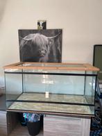Knaagdier terrarium, Ophalen, Gebruikt, Overige typen