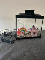 Leuk starters aquarium superfish 20 incl nieuwe decoratie, Dieren en Toebehoren, Vissen | Aquaria en Toebehoren, Ophalen of Verzenden