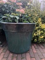 Keramieke bloempot dia 47cm, Tuin en Terras, Bloembakken en Plantenbakken, Ophalen, Steen, Minder dan 30 cm, Minder dan 60 cm