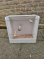 Witte tt kooi, Dieren en Toebehoren, Vogels | Hokken en Kooien, Ophalen of Verzenden, Hout, Vogelkooi