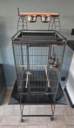 Keddoc Vogelkooi, Ophalen, Gebruikt, Metaal, Vogelkooi