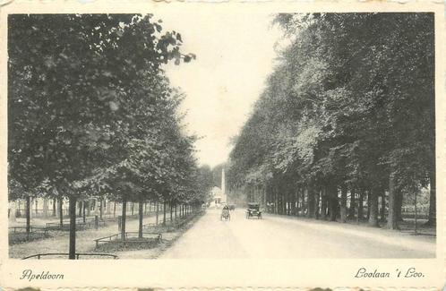 (388-454-031) Apeldoorn Loolaan t Loo, Verzamelen, Ansichtkaarten | Nederland, Gelderland, Verzenden